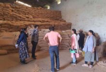 धान के अवैध भंडारण पर बड़ी कार्रवाई, 525 क्विंटल जब्त