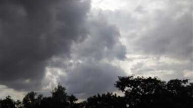 दितवाह तूफान के असर से बस्तर में हुई बारिश, दिनभर छाये रहे घने बादल