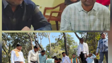 वन विभाग मनमाने तरीके से पेड़ों की कटाई कर रहा, पूरे मामले की निष्पक्ष जांच कराई जावे – मंड़ावी वन विभाग मनमाने तरीके से पेड़ों की कटाई कर रहा, पूरे मामले की निष्पक्ष जांच कराई जावे – मंड़ावी