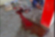 संजय मार्केट में बुजुर्ग का शव खून से लतपथ हालत में मिला