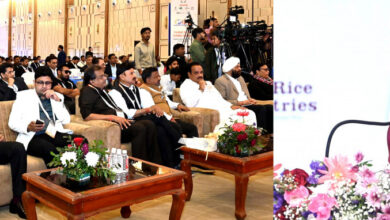 चावल निर्यातकों को दी बड़ी सौगात, मंडी शुल्क में छूट की अवधि एक साल बढ़ाई गई चावल निर्यातकों को दी बड़ी सौगात, मंडी शुल्क में छूट की अवधि एक साल बढ़ाई गई