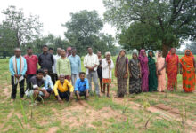 लेमनग्रास की खेती से बदल रही छोटे किसानों की किस्मत लेमनग्रास की खेती से बदल रही छोटे किसानों की किस्मत