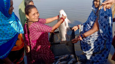 बिहान योजना से बदल रही जिंदगी, लखपति दीदी बनकर आगे बढ़ रहीं कबीरधाम जिले की महिलाएँ