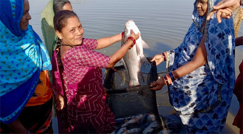 बिहान योजना से बदल रही जिंदगी, लखपति दीदी बनकर आगे बढ़ रहीं कबीरधाम जिले की महिलाएँ