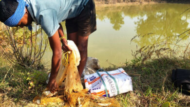 आजीविका डबरी : मेहनत से बदली किस्मत, रैनधर राणा को मत्स्य पालन से मिली 50 हजार की अतिरिक्त आय आजीविका डबरी : मेहनत से बदली किस्मत, रैनधर राणा को मत्स्य पालन से मिली 50 हजार की अतिरिक्त आय