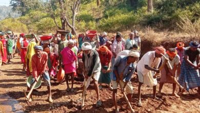 महात्मा गांधी नरेगा योजना के क्रियान्वयन में कबीरधाम जिला फिर अग्रणी, प्रदेश में आया पहला स्थान