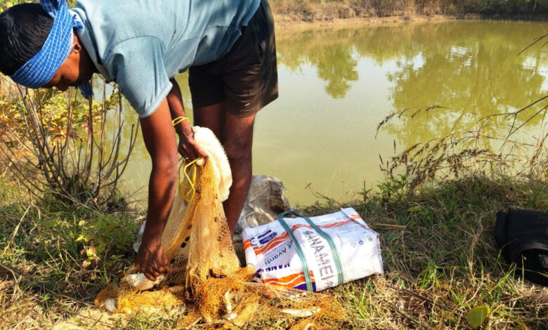 आजीविका डबरी : मेहनत से बदली किस्मत, रैनधर राणा को मत्स्य पालन से मिली 50 हजार की अतिरिक्त आय आजीविका डबरी : मेहनत से बदली किस्मत, रैनधर राणा को मत्स्य पालन से मिली 50 हजार की अतिरिक्त आय