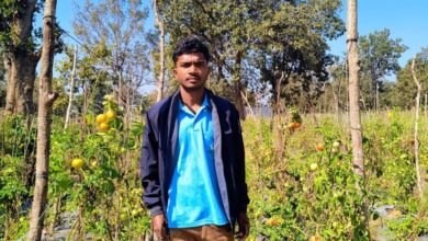 युवा किसान गोविन्द कोर्राम आधुनिक कृषि तकनीकों को अपना कर रहे सब्जी उत्पादन