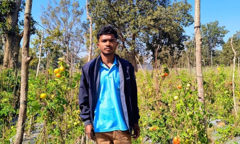 युवा किसान गोविन्द कोर्राम आधुनिक कृषि तकनीकों को अपना कर रहे सब्जी उत्पादन