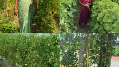 कर्ज के बोझ से मुक्त होकर आत्मनिर्भर बनी सुष्मिता प्रतिमाह कमा रही 50 हजार