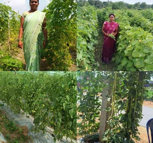 कर्ज के बोझ से मुक्त होकर आत्मनिर्भर बनी सुष्मिता प्रतिमाह कमा रही 50 हजार