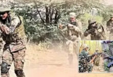 बीजापुर में 2 व सुकमा में 12 नक्सली ढेर