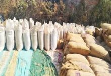 अवैध धान परिवहन पर संयुक्त टीम की कार्रवाई, कुल 230 कट्टा धान जप्त अवैध धान परिवहन पर संयुक्त टीम की कार्रवाई, कुल 230 कट्टा धान जप्त