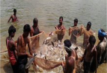 प्रधानमंत्री मत्स्य सम्पदा योजना से आई मत्स्य क्रांति, किसानों व मछुवारों की बदली आर्थिक तस्वीर