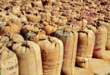 बिलासपुर जिले में अब तक 56 करोड़ से अधिक मूल्य का धान जब्त