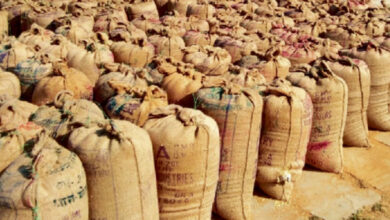 बिलासपुर जिले में अब तक 56 करोड़ से अधिक मूल्य का धान जब्त