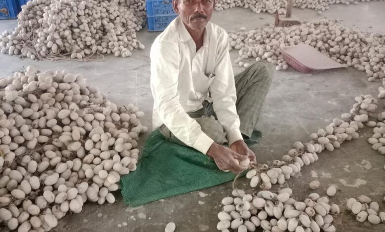 तसर पालन ने बदल दी जिंदगी – ग्राम सलोरा के किसान भरत बने आत्मनिर्भर