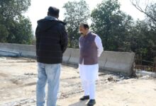 साव ने पुल निर्माण कार्य का किया औचक निरीक्षण, संकेतक बोर्ड लगाने और समय-सीमा में पूर्ण करने दिए निर्देश