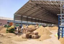 30 व 31 जनवरी के लिए जारी टोकन के धान की खरीदी अब 29 जनवरी को होगी