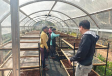 जशपुर में डीएसटी प्रायोजित परियोजना के तहत सोलर टनल ड्रायर की स्थापना