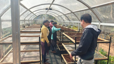 जशपुर में डीएसटी प्रायोजित परियोजना के तहत सोलर टनल ड्रायर की स्थापना