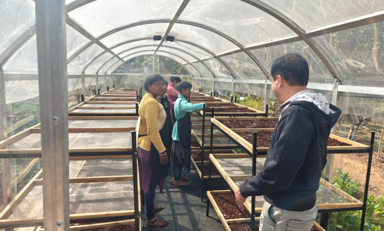 जशपुर में डीएसटी प्रायोजित परियोजना के तहत सोलर टनल ड्रायर की स्थापना