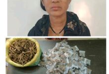 श्री मेडिसाईन हॉस्पिटल के पीछे गांजा बेचते पकड़ाई महिला