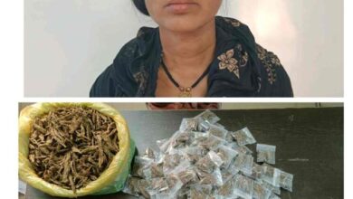 श्री मेडिसाईन हॉस्पिटल के पीछे गांजा बेचते पकड़ाई महिला