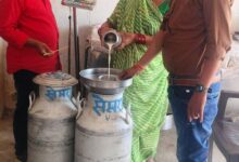 दुग्ध व्यवसाय से बदली ग्रामीण अर्थव्यवस्था, 10 हजार लीटर से अधिक प्रतिदिन उत्पादन