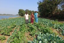 प्राकृतिक खेती से कृषक मनभौतिन बाई एवं माखन निषाद को मिला भरपूर लाभ