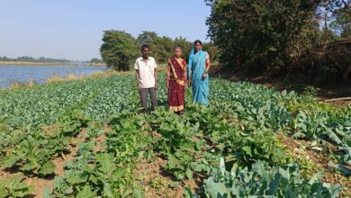 प्राकृतिक खेती से कृषक मनभौतिन बाई एवं माखन निषाद को मिला भरपूर लाभ