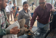 गिद्ध और उड़न गिलहरी की सफल रेस्क्यू ने दिखाई विभाग की संवेदनशीलता