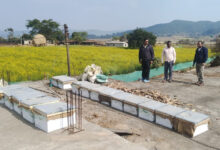 मीठी क्रांति से बदल रहा प्रदेश के किसानों का भाग्य, चालू वित्तीय वर्ष में अब तक 2382 किसान लाभान्वित