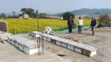 मीठी क्रांति से बदल रहा प्रदेश के किसानों का भाग्य, चालू वित्तीय वर्ष में अब तक 2382 किसान लाभान्वित