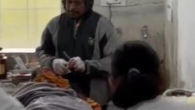 दो भालुओं ने महिला पर किया हमला