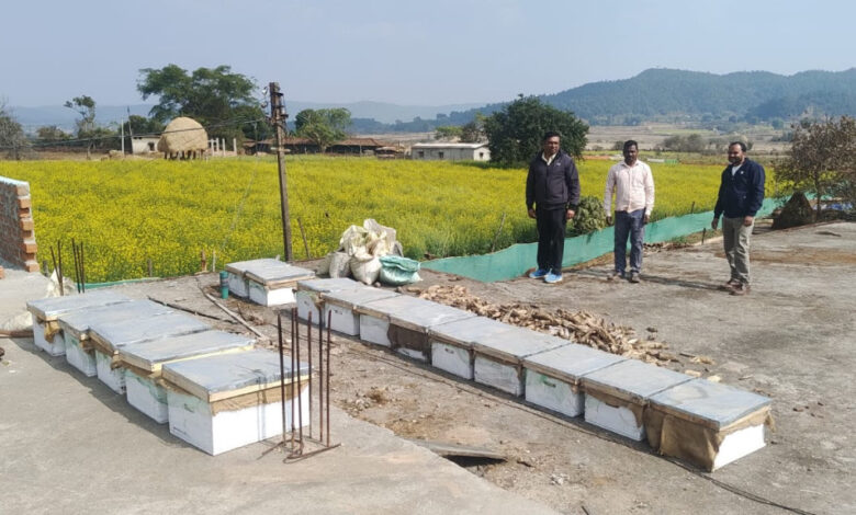 मीठी क्रांति से बदल रहा प्रदेश के किसानों का भाग्य, चालू वित्तीय वर्ष में अब तक 2382 किसान लाभान्वित