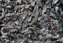 गोपाल टोला खदान को पश्चिम बंगाल की जोडियाकडीलर ने 125 फीसदी अधिक बोली लगाकर किया हासिल