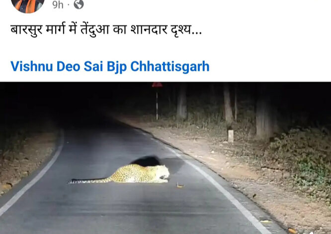 वन मंत्री केदार ने बारसूर मार्ग में एक तेंदुआ दिखने का विडियो फेसबुक पर किया शेयर
