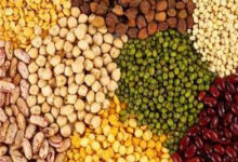 छत्तीसगढ़ में तुअर, उड़द, मूंग, सोयाबीन और मूंगफली की एमएसपी पर खरीद को केंद्र सरकार की मंजूरी