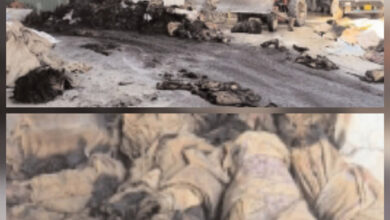 राइस मिल में लगी आग, लाखों का बारदाना व फोर्टिफाइड चांवल जलकर हुआ खाक राइस मिल में लगी आग, लाखों का बारदाना व फोर्टिफाइड चांवल जलकर हुआ खाक