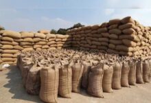 प्रदेश में अब तक 102.37 लाख मीट्रिक टन धान की खरीदी, 22.4 लाख से अधिक किसानों ने बेचा धान