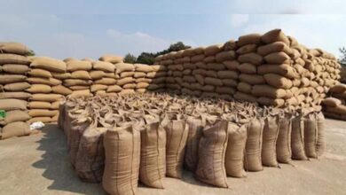 प्रदेश में अब तक 102.37 लाख मीट्रिक टन धान की खरीदी, 22.4 लाख से अधिक किसानों ने बेचा धान