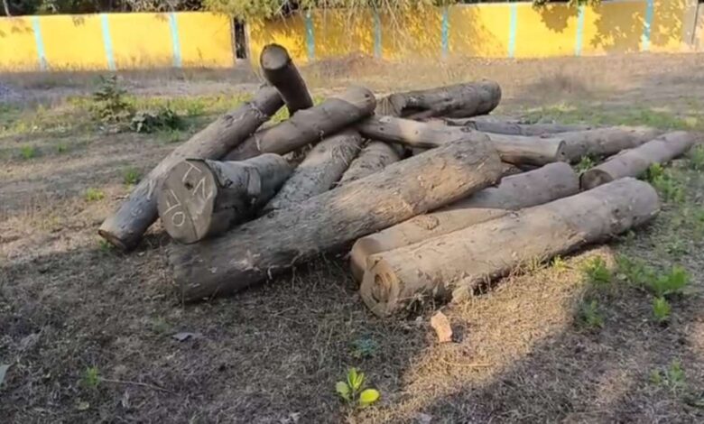 सागौन तस्करी नाकाम बालोद में नदी से 21 गोले बरामद