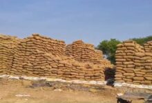 कबीरधाम में धान खरीदी घोटाला, 2272 क्विंटल धान गायब, प्रभारी पर FIR