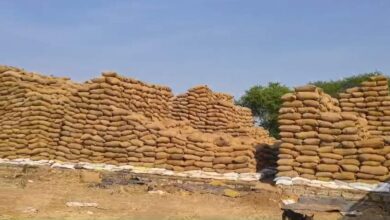 कबीरधाम में धान खरीदी घोटाला, 2272 क्विंटल धान गायब, प्रभारी पर FIR कबीरधाम में धान खरीदी घोटाला, 2272 क्विंटल धान गायब, प्रभारी पर FIR