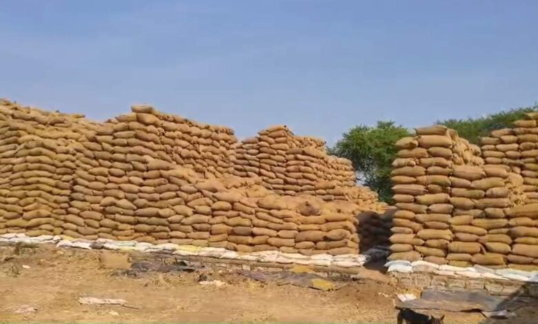 कबीरधाम में धान खरीदी घोटाला, 2272 क्विंटल धान गायब, प्रभारी पर FIR