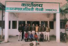 वन्य जीवन पर शिकंजा सिंगरौली में करंट से शिकार करने वाले चार आरोपी जेल