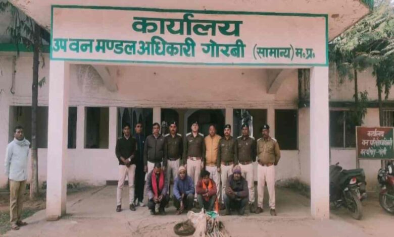 वन्य जीवन पर शिकंजा सिंगरौली में करंट से शिकार करने वाले चार आरोपी जेल