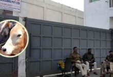 भोपाल स्लॉटर हाउस में गौमांस घोटाला: 8 कर्मचारी सस्पेंड, जांच जारी