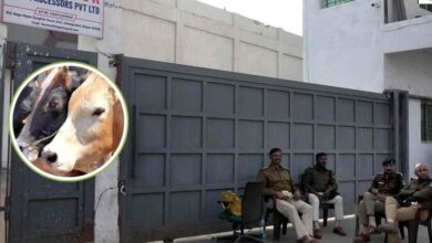 भोपाल स्लॉटर हाउस में गौमांस घोटाला: 8 कर्मचारी सस्पेंड, जांच जारी